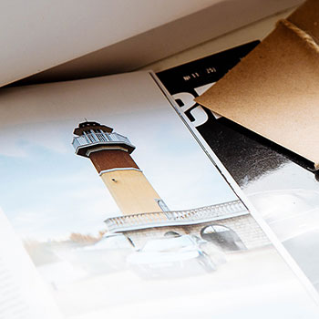 华亭鹤唳，气急败坏，走为上着手脚快；过度紧张，大惊小怪，益害好歹有分界。代表指什么生肖，核心词义拆解